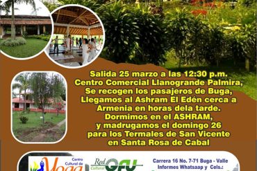 Practica Yoga y Meditación.